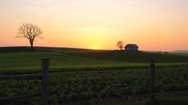 Les meilleurs avocats spécialisés en droit rural et agricole